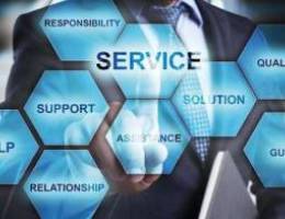 IT Pro Services Support