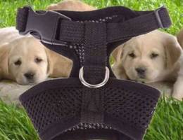 adjustable harness for dog