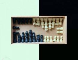 Best Quality Bone Chess Pieces