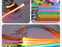 LED Light Leash USB