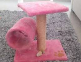 Cat home