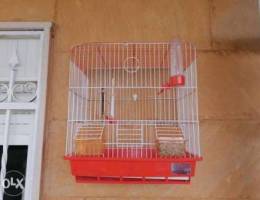 Bird cage