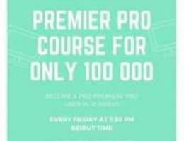 Premiere pro course for cheap