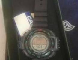 casio pro trek (500.000)