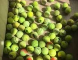 tennis balls