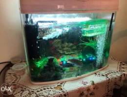 aquarium new