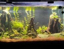 High tech aquarium for sale