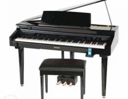 Suzuki Grand Digital Piano