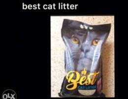 best cat litter