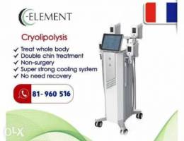 C-element fat freezing machine