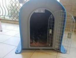 Dog house used 3 months