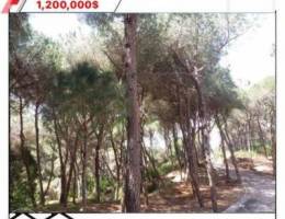 Land For Sale - Qonnabet Baabat - FULL CHE...