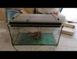 Iguana and reptile tank / glass cagge with...