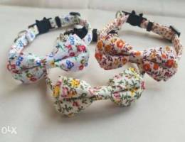 Best collars and collections