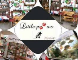 Littel paws traning and Ø¬Ù…ÙŠØ¹ Ù„ÙˆØ§Ø²Ù… Ø§Ù„Ø­ÙŠÙˆØ§Ù†...