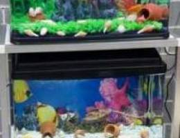 aquarium