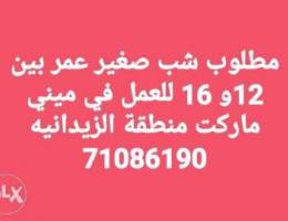 Ù…Ø·Ù„ÙˆØ¨ Ø´Ø¨ ØµØºÙŠØ± Ù„Ù„Ø¹Ù…Ù„ ÙÙŠ Ù…Ù†ÙŠ Ù…Ø§Ø±ÙƒØª