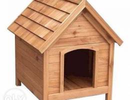 House for dog