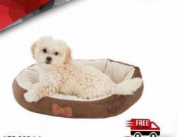 Petmate Oval Bed with bone // Only 175.000...