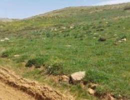 Land for Sale in Zaarour/ 1100 sqm / 55000...