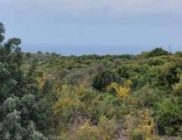 3150 sqm Land for Sale in Monsef . sea Vie...