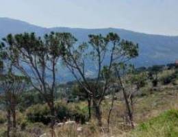 Land for Sale in Kaakour , zone 20/60 with...