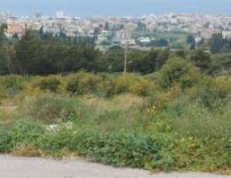 Land for Sale in Batroun, 1500 sqm, Banker...