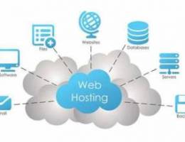 Web Hosting, and business email