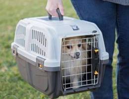 Iata carrier for dogs and cats