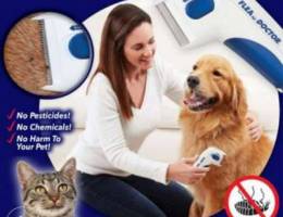 Flea doctor for cats and dogs