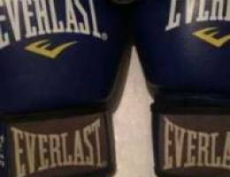 Muay Thai / Boxing Gloves (Everlast)