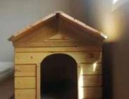 Dog House/ For All Sizes