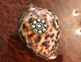 Cowrie tiger shell silver pendant