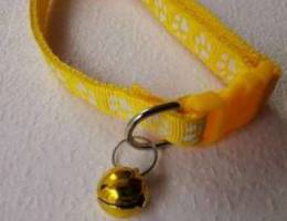 Pet collar 25.000