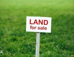 Land For Sale in Ain Saadeh