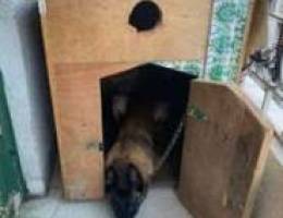 wooden dog house for sale made from latte ...