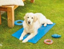 pet cooling pad