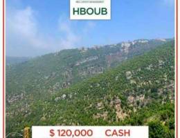 HBOUB!!175 SQM + 75 SQM Garden!! $120,000 ...