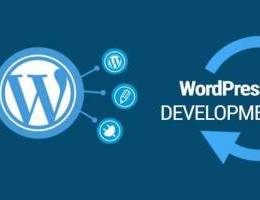 wordpress developer