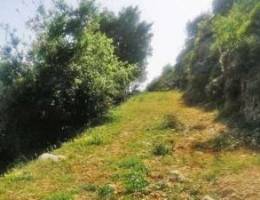 Land for Sale in Torzaya â€“ Ø£Ø±Ø¶ Ù„Ù„Ø¨ÙŠØ¹ ÙÙŠ Ø·Ø±...