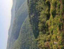 Hot deal 200.000$ cash land 1700mÂ² Miyyese