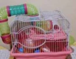 Hamsters cage