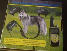 Dog's electrical collar