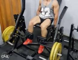 Leg extension and seated leg curl