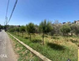 Land with olive grove to sale in Chouf Mgh...