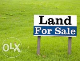 Check - Kannat Bekich - Land for sale 6000...