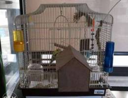 Bird cage