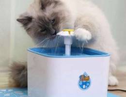 Water fountain for cats