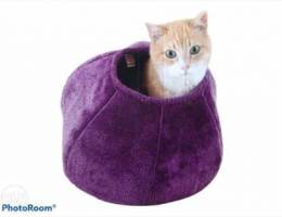 cat cave