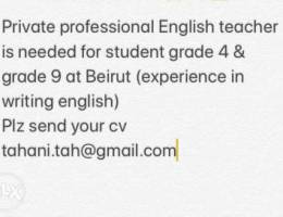 Private teacher needed